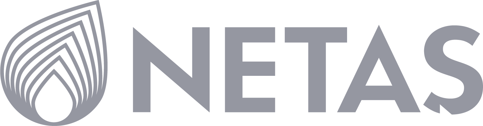 Netaş