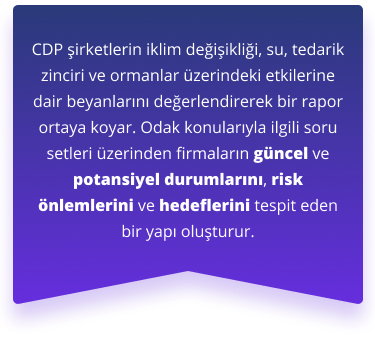 Consultancy-FourSteps-Flag-Mobile